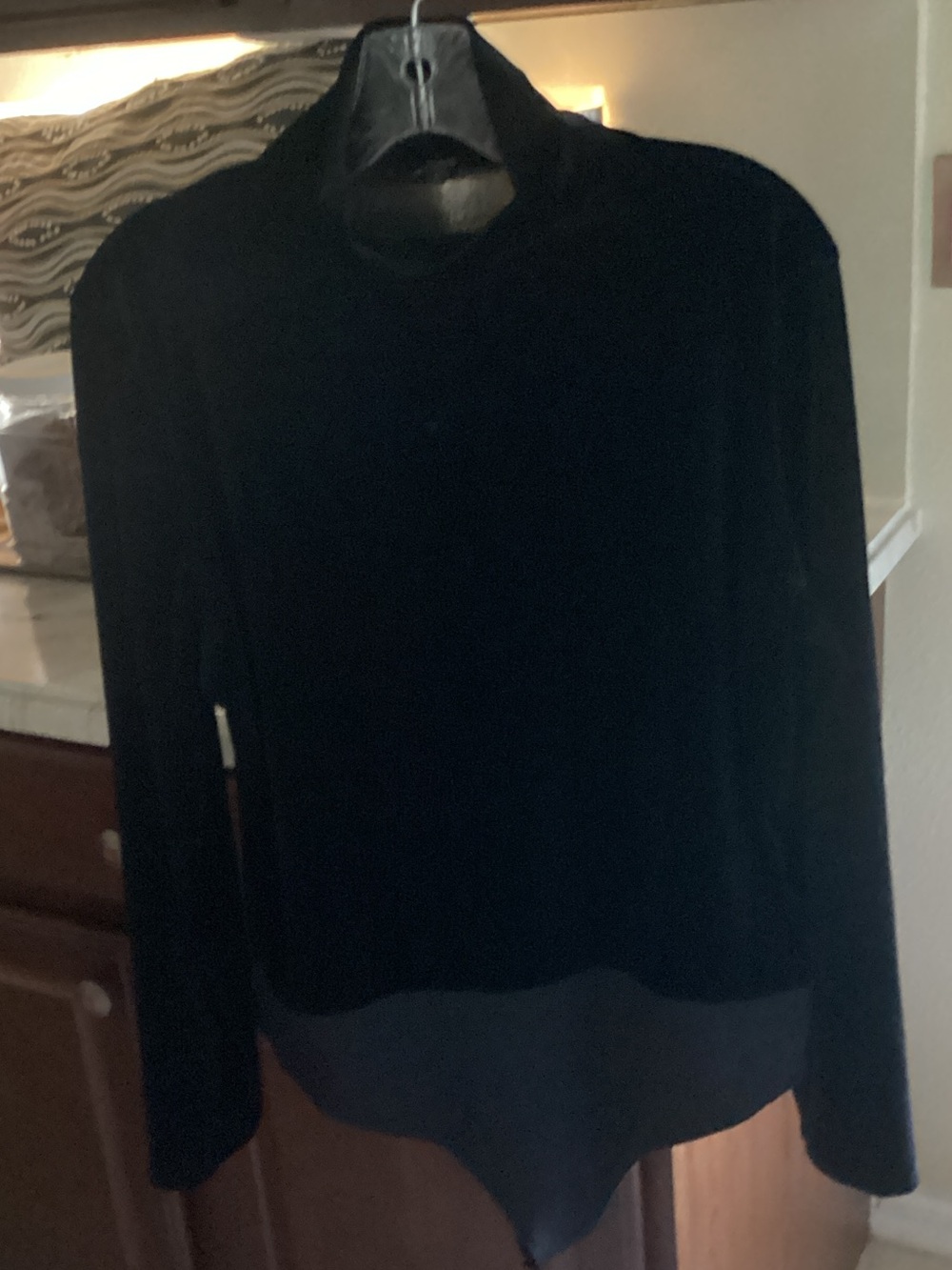 Black Velvet Long Sleeve Bodysuit by Express